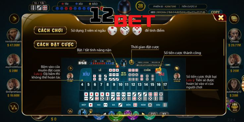 Tham gia cá cược Tài Xỉu ở Việt Nam có bị bắt hay không?